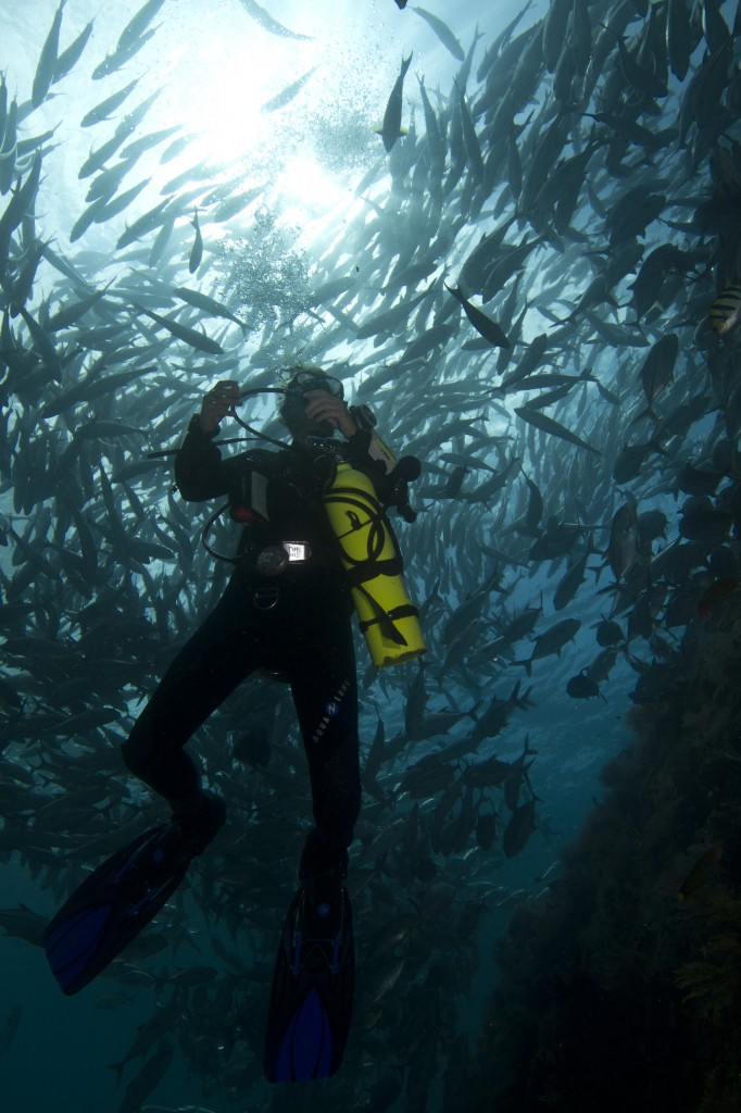 Self reliant diver with crystal divers bali